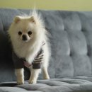 갬성드 애월 이미지