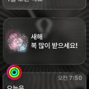 하양 무비 헬스 센타 | [2025] 연말 결산 문답 ✒️