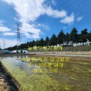 늘봄부동산중개 이미지