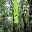 학산벌목