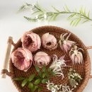 장지9길 | 문정 장지 복정 부케말리기 ㅣ 부케를 보관하는 가장 실용적인 방법