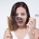 경희청한의원 네이버블로그