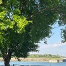생거진천자연휴양림 진입로 가로수 | [충북/진천]🍵 진천 백곡저수지 뷰 카페🌳 '화계절' : 귀여운 캐릭터 만주와 물멍이 함께하는 힐링 플레이스