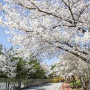 고덕체육공원 육상트랙 이미지