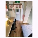 윈리빙텔