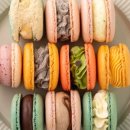 블루베리 편의점 이미지