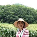 양달농장 이미지