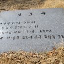 양학초등학교 이미지