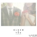 포레스트 스튜디오 이미지