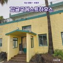 제주 서귀포 게스트하우스 추천 조용한 소규모 제주도 게하 파티 감귤국