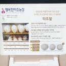 영농조합법인 행복한 타조농장 이미지