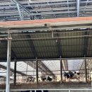 평촌목장 이미지