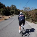 반성119지역대 이미지