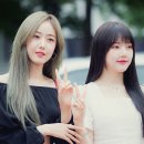 비김 이미지