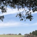 어쩌다영락 이미지