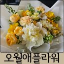 둔산북로 | 대전 꽃배달 둔산동 꽃집 오월애플라워 기념일 꽃다발 후기