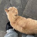 [Jeju] 늦었다고 생각할 땐 &#34;진짜&#34; 늦었다. ㅋㅋ ㅠㅠ