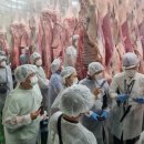 가축농장 이미지