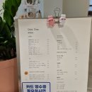 돌체도노 이미지