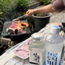 단양비앤비홍봉화펜션