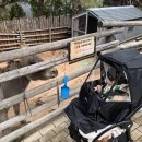 봉곡동352 | 일상기록] 구미 산동대관키즈카페 아이앤맘 / 구미봉곡동 전원숯불갈비 / 대구 실내동물원 네이처파크