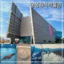 스트로마톨라이트 | 대구 아이랑 가볼만한곳 달성화석박물관 여름방학 실내여행지