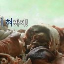 정순순대 이미지