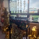 만산 | 청주점집 만산월 후기