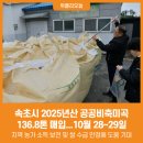 속초미곡