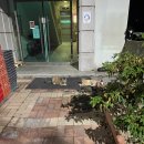 크린세탁빨래방 | 셀프빨래방 위니아24크린샵 죽전점 가격 이용 정보