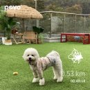 이레수라간 | 2111_수원과 서울 그 어딘가