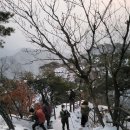 2023.01.01일 계룡산 해돋이 이미지