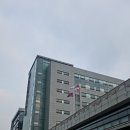롤링핀고대구로