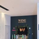 WOW | 포르투 WOW 와인박물관 후기 포트와인 시음하고 본 포르투 풍경