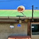 남일가축인공수정소 | 6월 여행지 추천, 시간여행자 강경 근대문화의 흔적을 찾아 떠난 여행