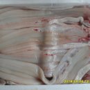 우정장어 이미지