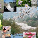 물안골농장 이미지