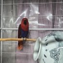 약손지압원 이미지