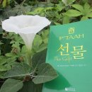 히어나우시스템 이미지