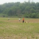 초지농장 이미지