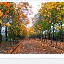 경주산림환경연구원 이미지