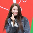 미주콜렉션