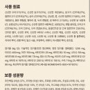 하이캣 | 고양이 사료 추천 아카나 캣 하이프로틴 그래스랜드 급여 후기