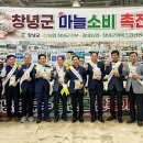 경남마늘유통 이미지