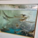 통큰가리비칼국수 이미지