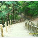 구곡폭포 주차장 Daum카페