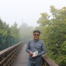 제주의 한란 Daum카페