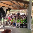 도담목장 이미지