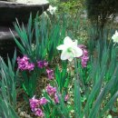 발리경포펜션 이미지