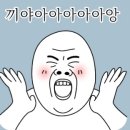 돌고래사과 이미지